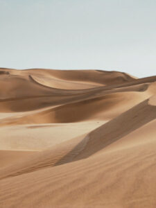 desserts 02 : CALA MEN'S SHOW